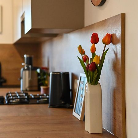 פוסדריה Veliki Apartman Petra מראה חיצוני תמונה